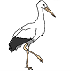 Stork