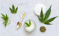 Pipette with CBD oil, cream jar and dry tea near green cannabis leaf. Alternative healthcare - PhotoDune Item for Sale