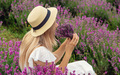 the girl rests in a lavender field. Selective focus - PhotoDune Item for Sale