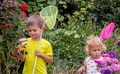children catch butterflies butterflies in a jar. Selective focus - PhotoDune Item for Sale