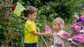 children catch butterflies butterflies in a jar. Selective focus - PhotoDune Item for Sale
