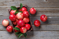Wooden box with fresh red apples - PhotoDune Item for Sale