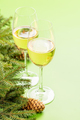 Christmas fir tree branch, champagne and space - PhotoDune Item for Sale