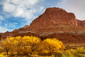 Autumn in Utah - PhotoDune Item for Sale
