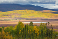 Autumn in polar tundra - PhotoDune Item for Sale