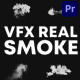 VFX Real Smoke for Premiere Pro - VideoHive Item for Sale