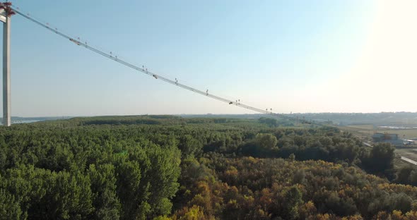 Main Cable Of Braila Bridge Crossing Over The Vast Green Forest In Romania. aerial