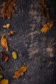 Autumn background with dry leaves. - PhotoDune Item for Sale
