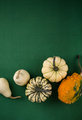 Decorative pumpkin on green background. - PhotoDune Item for Sale