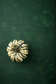 Decorative pumpkin on green background. - PhotoDune Item for Sale