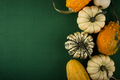 Decorative pumpkin on green background. - PhotoDune Item for Sale