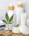 Opened cream jar with white lid near green cannabis leaves close up, CBD cosmetic mockup - PhotoDune Item for Sale