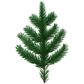 Christmas spruce, green fir twig isolated on white transparent background, Xmas pine tree branch - PhotoDune Item for Sale