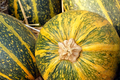 Group of striped yellow pumpkins - PhotoDune Item for Sale