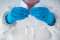 An expert assesses milk quality in a laboratory, using test tubes for analysis. - PhotoDune Item for Sale
