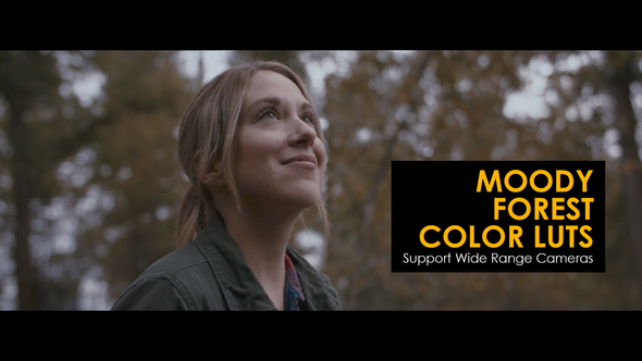Moody Forest Color LUTs alt