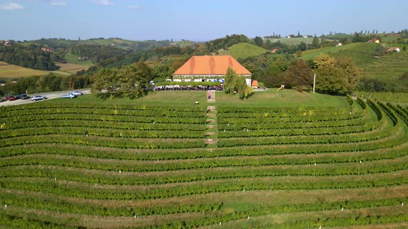 A beautiful wine cottage in Slovenian countryside.