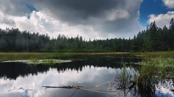 Black lake and marshes, forest in background, Crno jezero on Pohorje, Slovenia, popular hiking desti