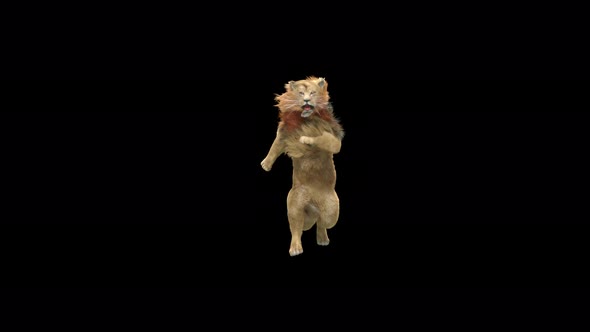 Lion Dancing 4K
