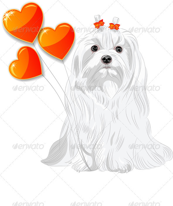 Valentine Card with Dog Maltese and Hearts