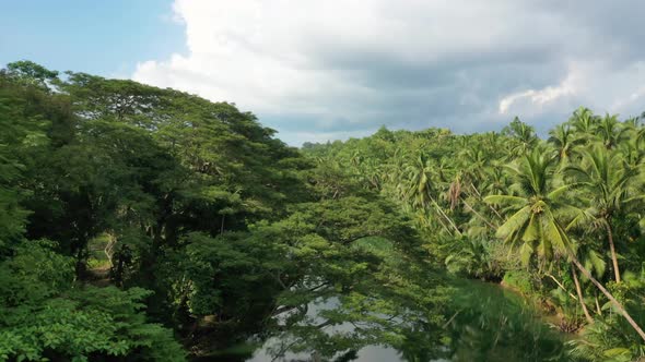 Calm River and Rainforest in Philippines