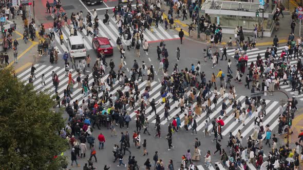 Shibuya Crossing In Tokyo Japan