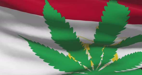 Egypt national flag with cannabis leaf