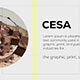 Cesa Promo - VideoHive Item for Sale