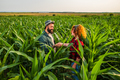 Agriculture - PhotoDune Item for Sale