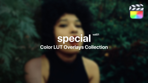 Special Color Presets for Final Cut Pro Vol. 01 alt