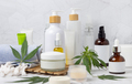 Blank cosmetic jars, tubes and bottles near green cannabis leaves close up, CBD cosmetic mockup - PhotoDune Item for Sale