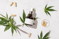 Dropper bottle with CBD cosmetic and capsules near cannabis leaves top view, hard shadows - PhotoDune Item for Sale