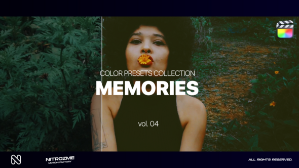 Memories LUT Collection Vol. 04 for Final Cut Pro X alt