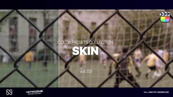 Skin LUT Collection Vol. 03 for Final Cut Pro X alt