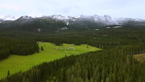 Picturesque of green plateau surrounded by dense trees and snow capped mountains. Aerial view.