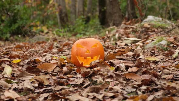 Halloween Pumpkin in Autumn Foliage Forest