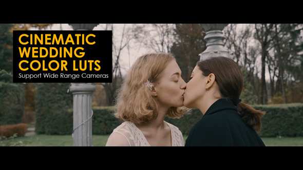 Cinematic Wedding Color LUTs alt
