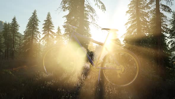 Bicycle in Mountain Forest alt