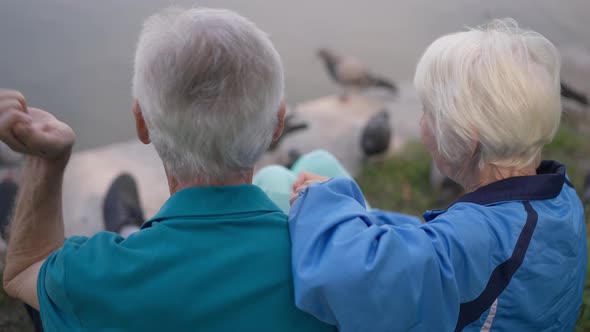 Back View Greyhaired Caucasian Couple Feeding Birds Sitting at Lake in Park Putting Heads Together