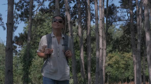 Woman hiker in the forest. 