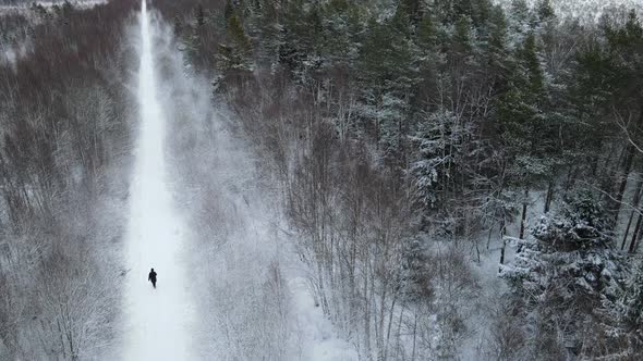 View to winter road through forest in Estonia