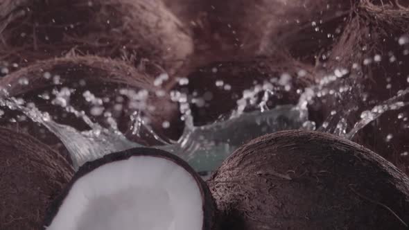 Coconut Falling Into Water with Splash