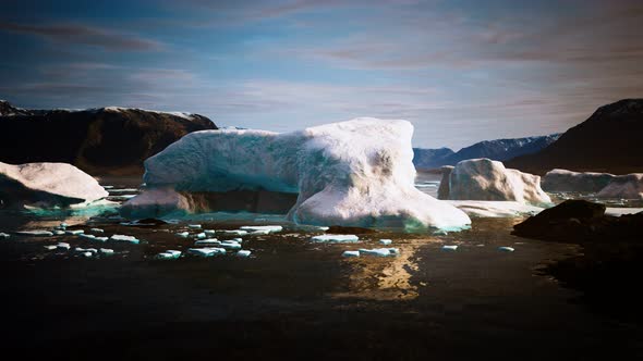 Many Melting Icebergs in Antarctica