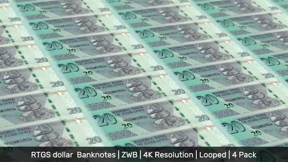 Zimbabwe Banknotes Money / Zimbabwean dollar / Currency ZWL$ / RTGS / 4 Pack - 4K