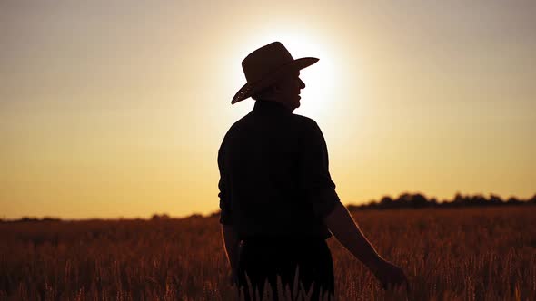 Silhouette of a man in hat in wheat field against the setting sun.