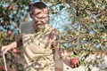 Man picks apples from a tree in the garden. Autumn harvest, gardening. - PhotoDune Item for Sale