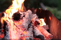 Burning wood in the grill, fire, preparing coals for barbecue. - PhotoDune Item for Sale