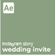 Wedding Invite Instagram - VideoHive Item for Sale