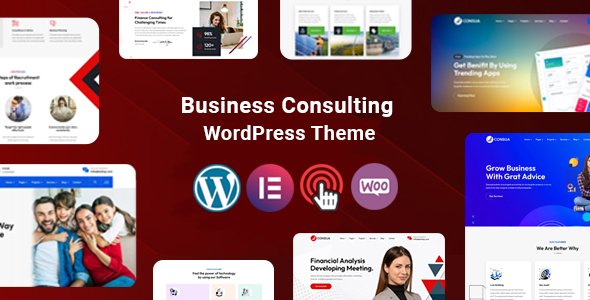 Consua - Business Consulting
