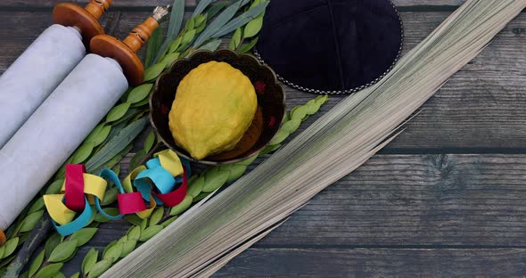 Symbols of Jewish Holiday Traditions for Sukkot Celebrating with Etrog Lulav Hadas and Arava